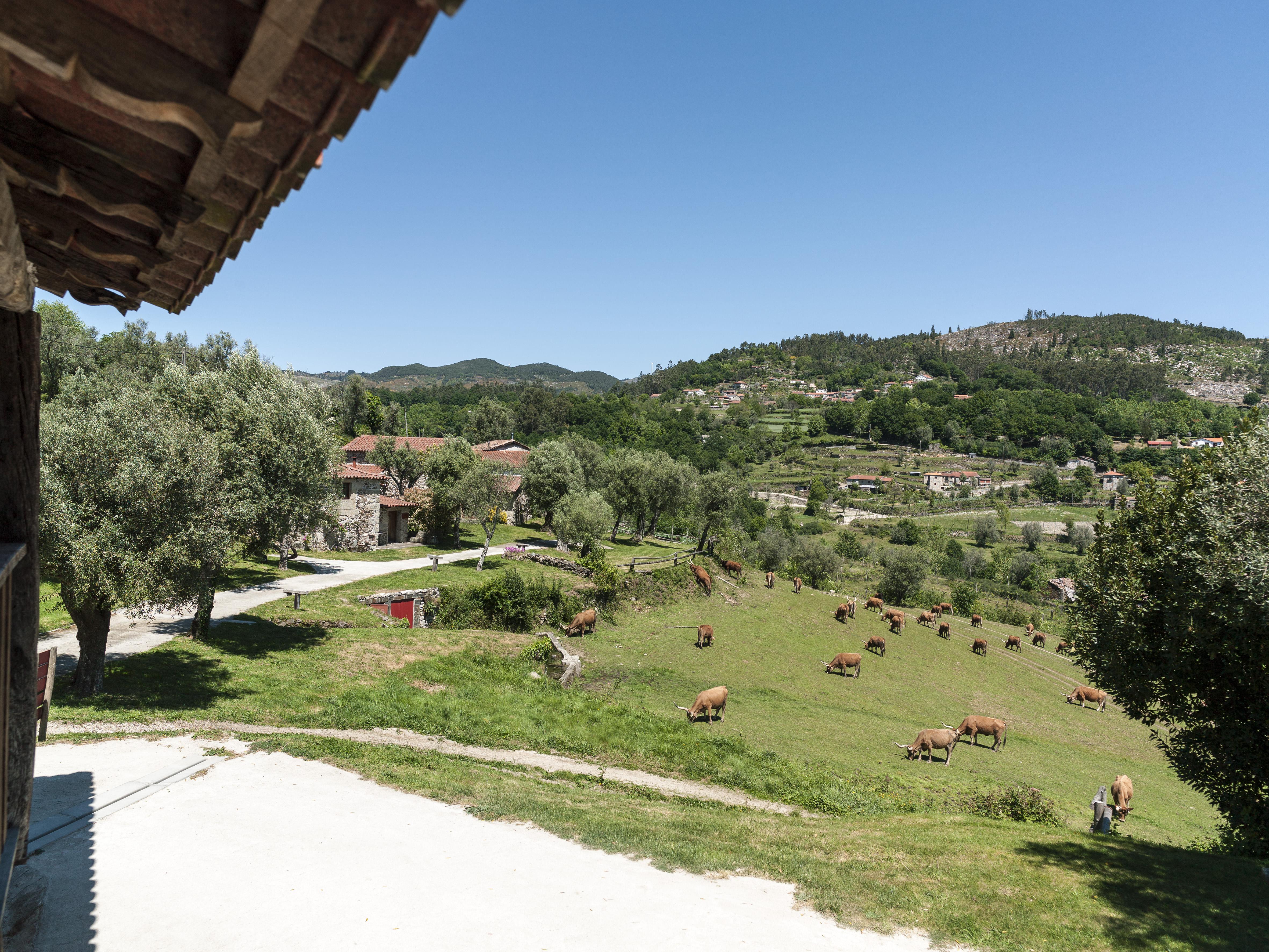 Quinta Do Rapozinho Villa Cabeceiras de Basto Eksteriør billede